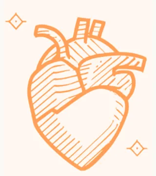 Omega-3 Fettsäuren